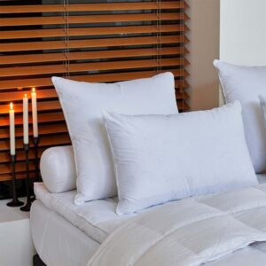 Oreiller Naturel - Galaxie - 90% Duvet d'Oie - Moelleux