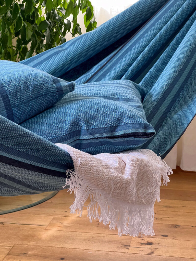 Coussin Blue Zebra - CAP5S-Z3 (2)